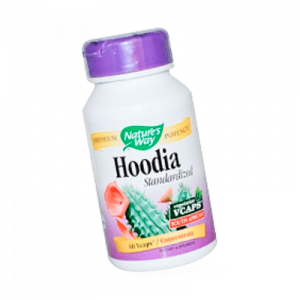 Hoodia